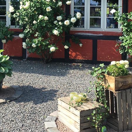 Lolland Bed & Breakfast Sollested (Lolland) Exterior foto
